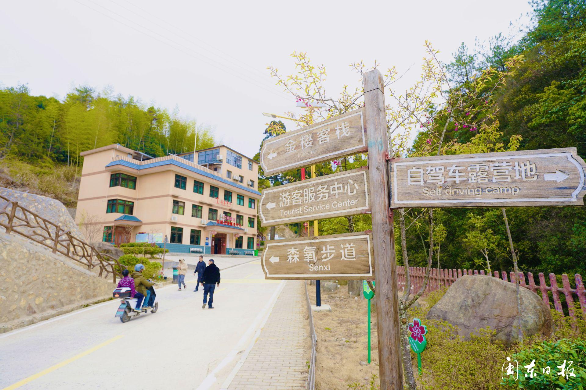 寿宁水洋:古村樱开春意浓