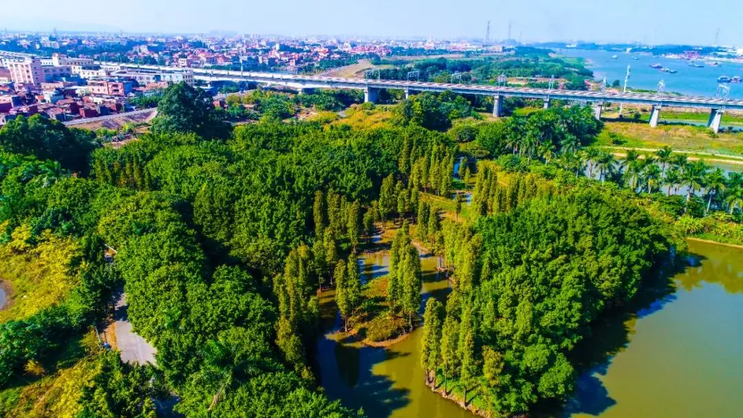 萬畝溼地,鷺鳥齊飛,河畔風光……這個新春假期,來佛山這些溼地公園