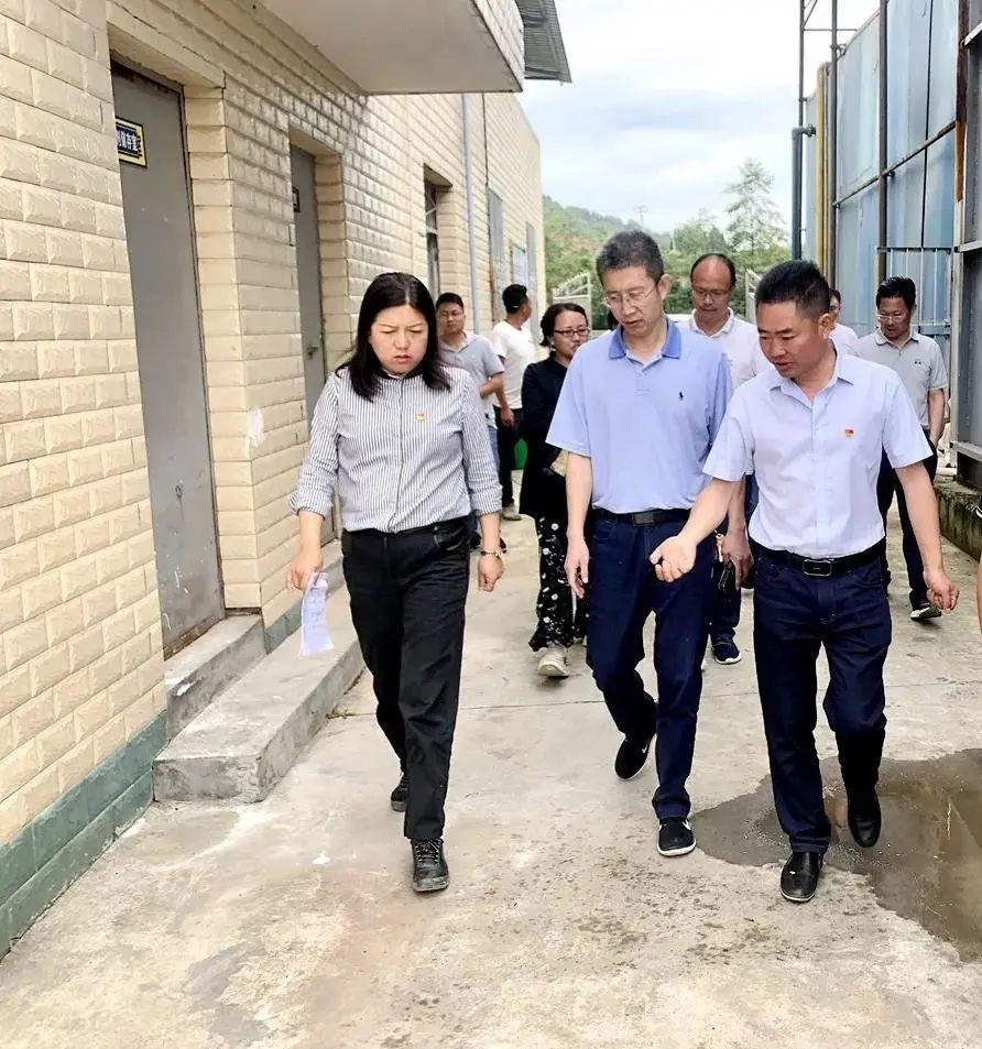 越西县委副书记,县长何建梅督导生态环境突出问题整改工作