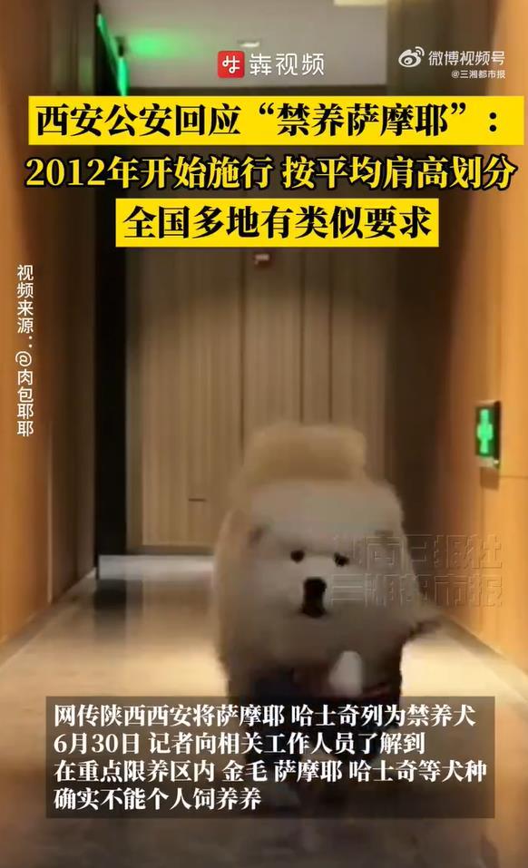 14be557cd0ddb11d1986e356fc2b0df.png