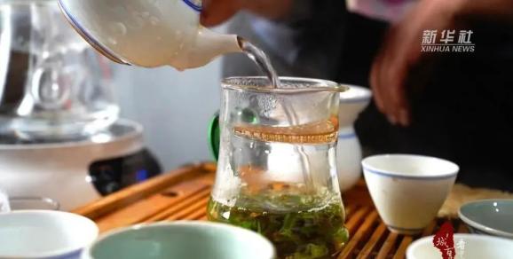 连翘种植收益