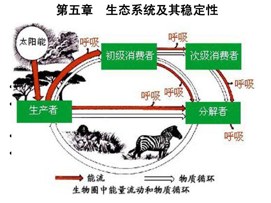 动物每天被捕食和生老病死,却少听说尸体对环境造成污染,为什么