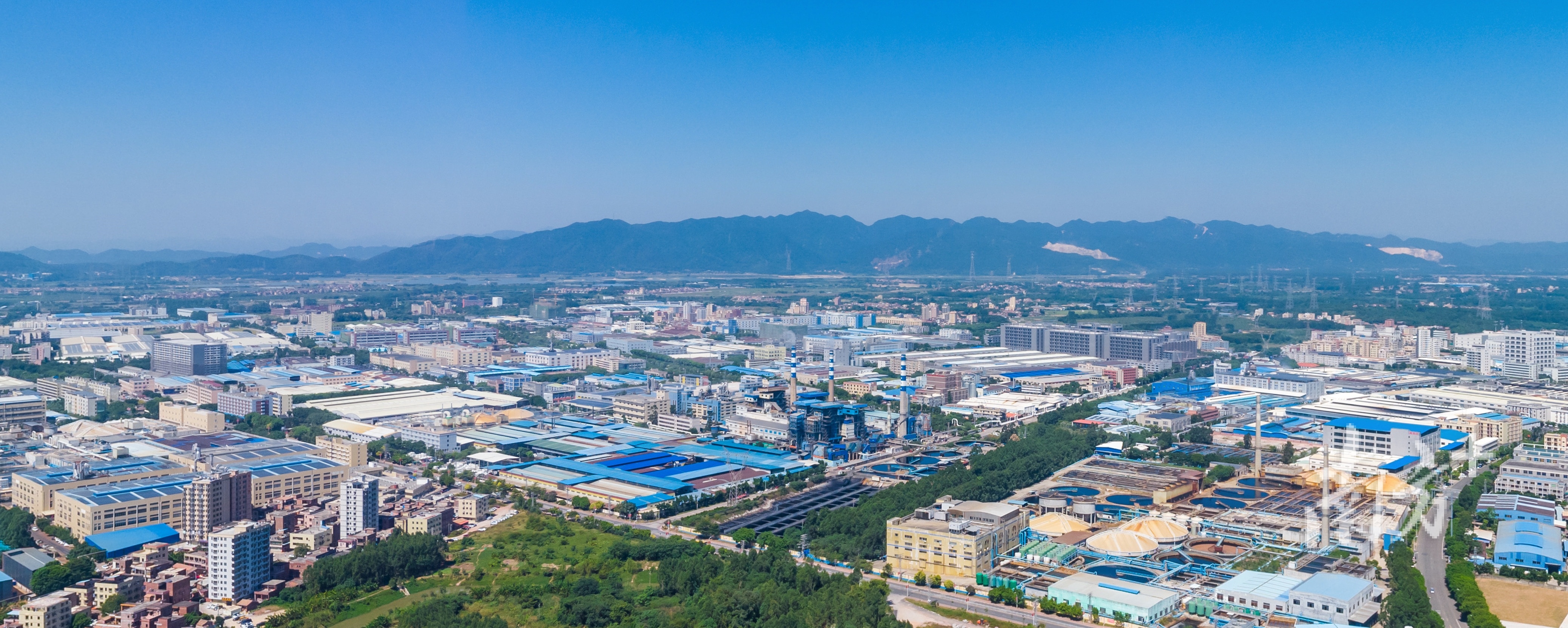 三水大塘:擦亮金字招牌,打造大湾区特色新材料专业镇|区委全会