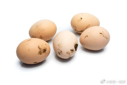 「蛋小秦」带屎的鸡蛋更好吗?