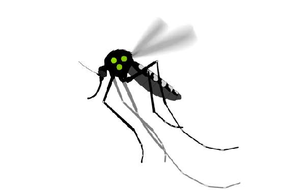 九成人不懂蚊子的天敌是什么？教你一个新方法，“整夜开窗”都不用怕-有驾