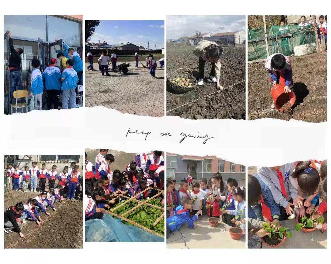 落地有声 行稳致远——安达市吉星岗镇中心学校"双减"工作纪实