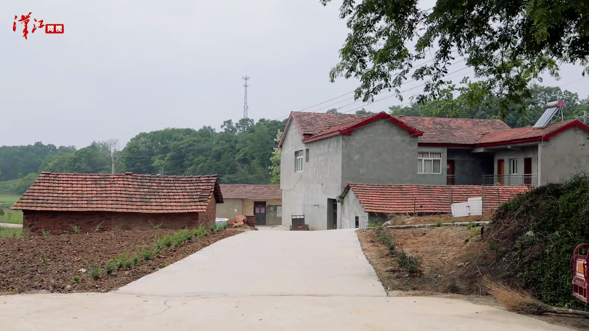 金银花开 脱贫梦圆——宜城市刘猴镇猴垱村残疾青年常昌胜的脱贫故事