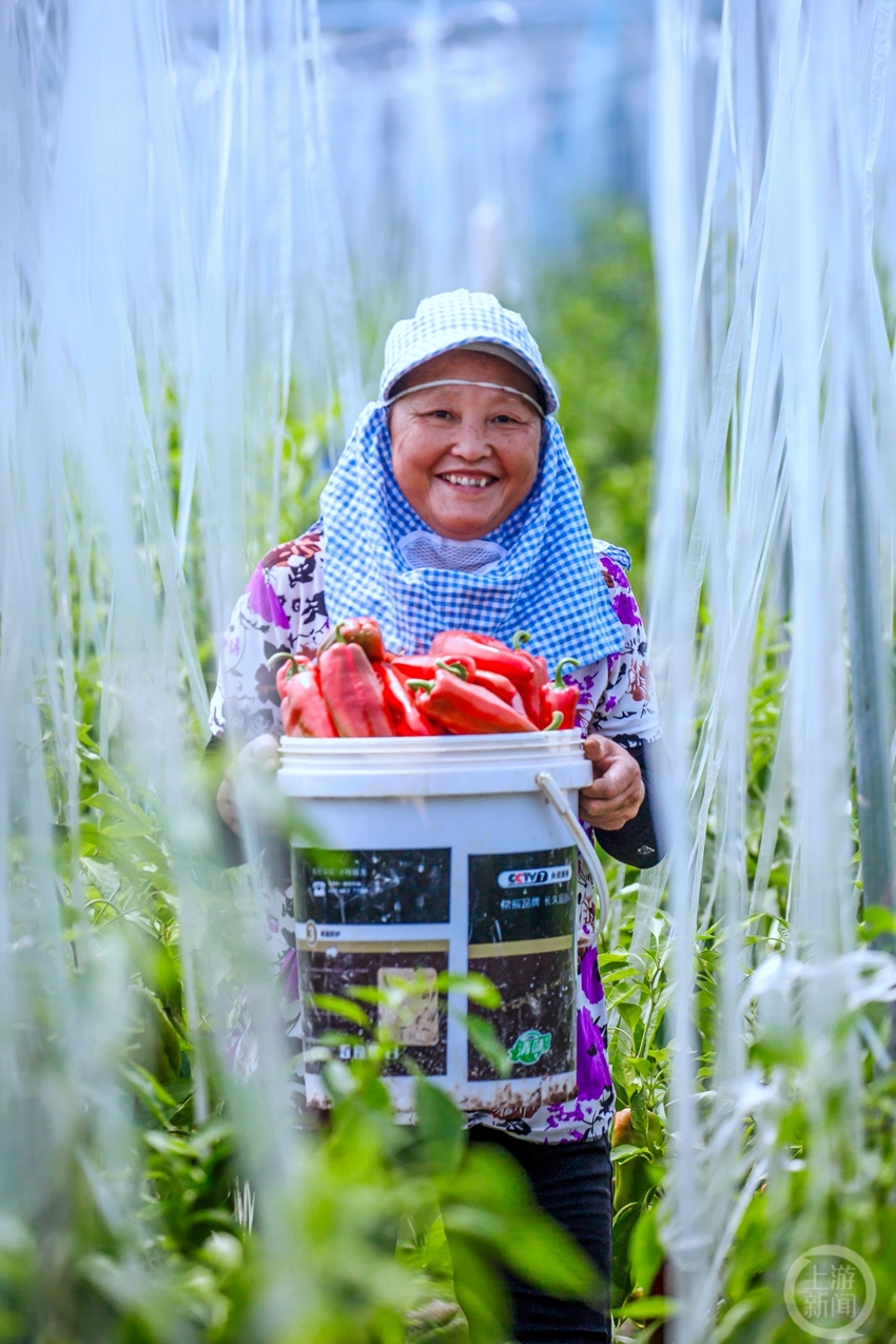 "秋韵"(33)|上游主题摄影征稿作品展——梁国华作品