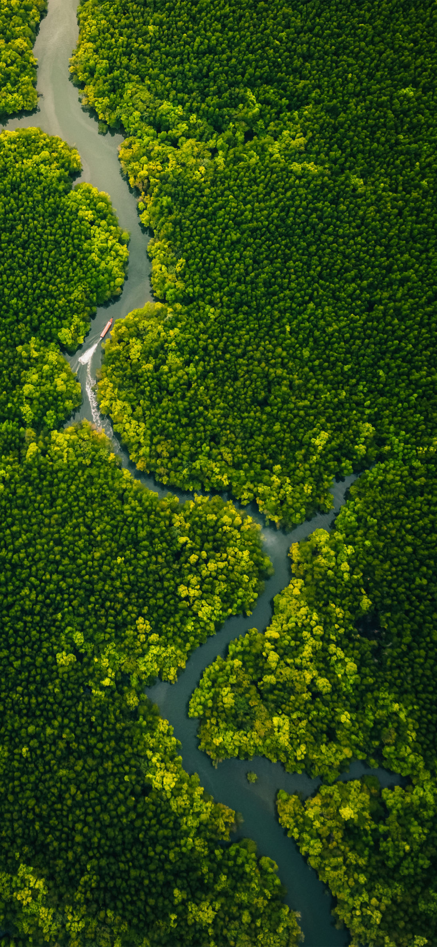风景壁纸,景色如此美丽,就像一幅栩栩如生的画卷