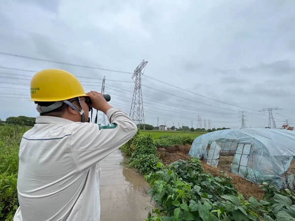 凌晨4点 金山农民压棚挖沟