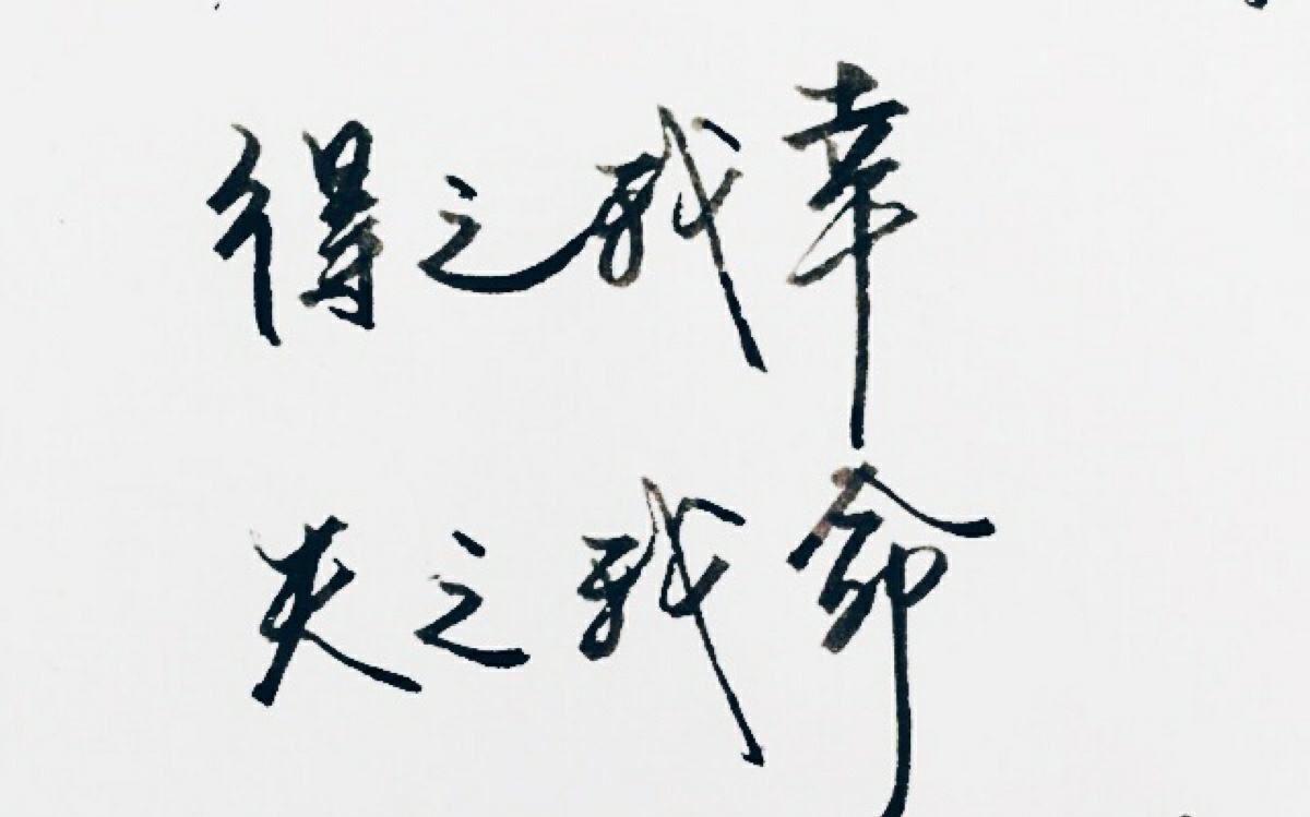 得之我幸,失之我命