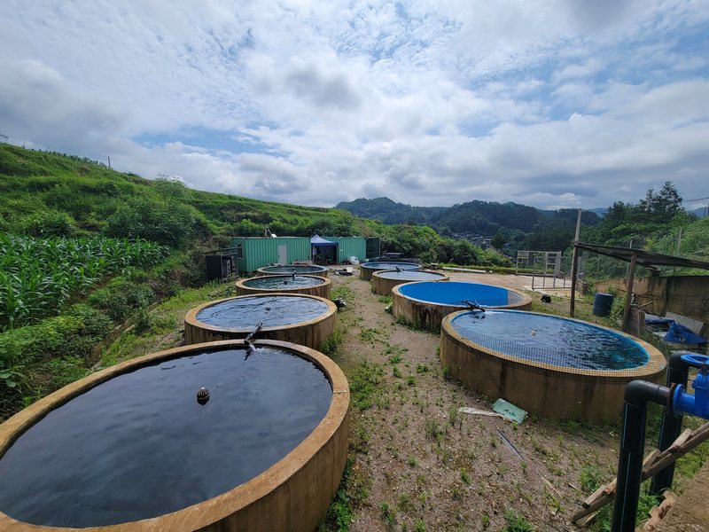 黔东南州首家虹鳟鱼养殖示范基地供不应求