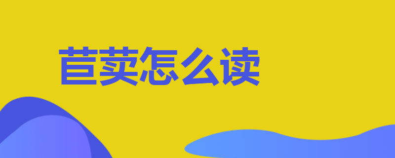 苣荬怎么读