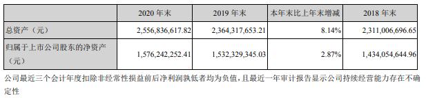 华源控股2020年净利减少31.02 董事长李炳兴薪酬39.87万