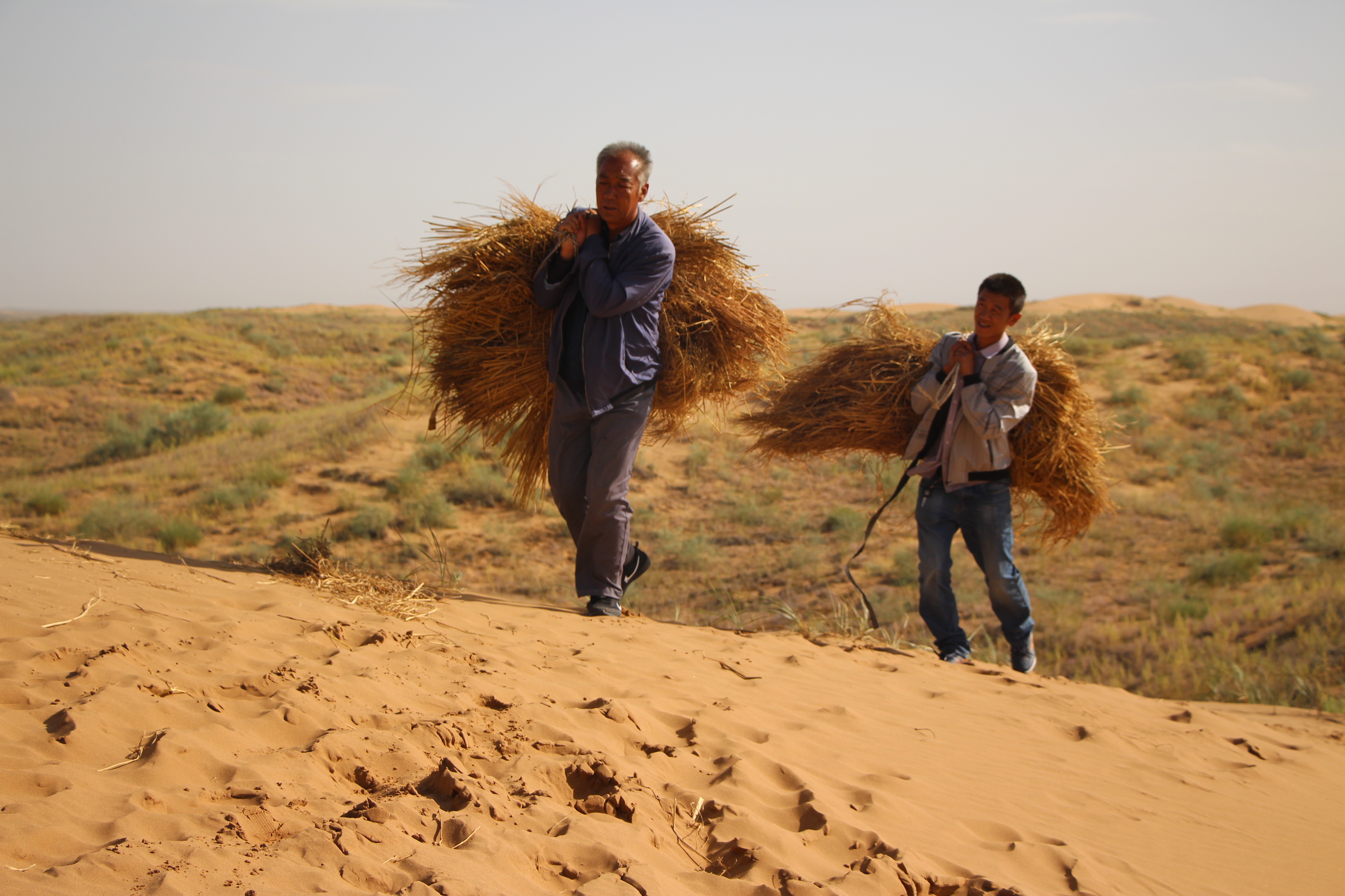 八步沙:三代人的治沙情