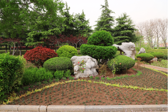 景石花境看点多!临沂园林环卫推进精致化管理水平再升级