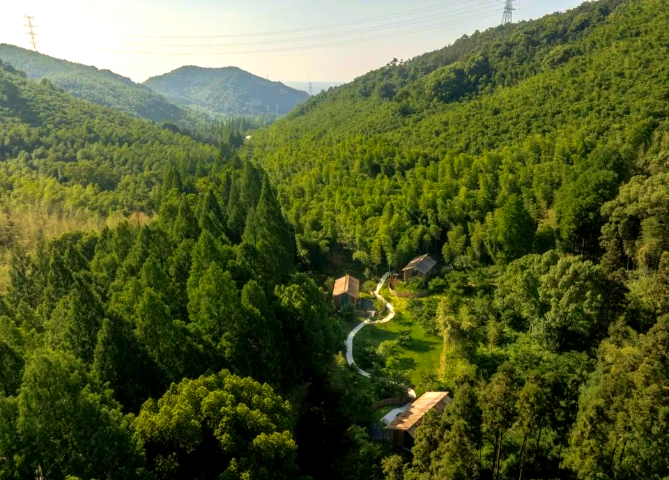 民宿探秘:杭州市良渚街道安溪东明山森林公园的多款小木屋