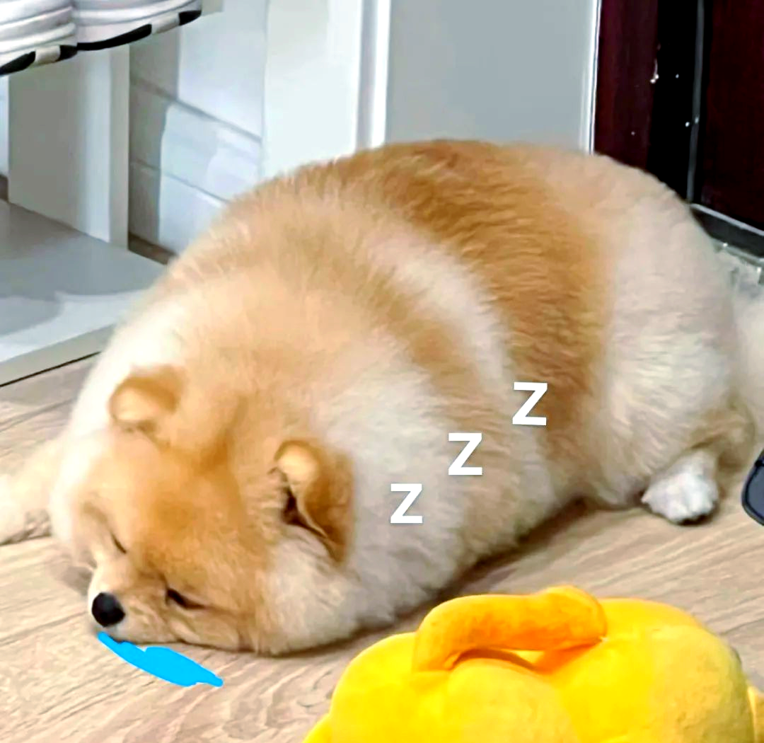 微信表情包大赏:各种可爱的谢谢老板图片