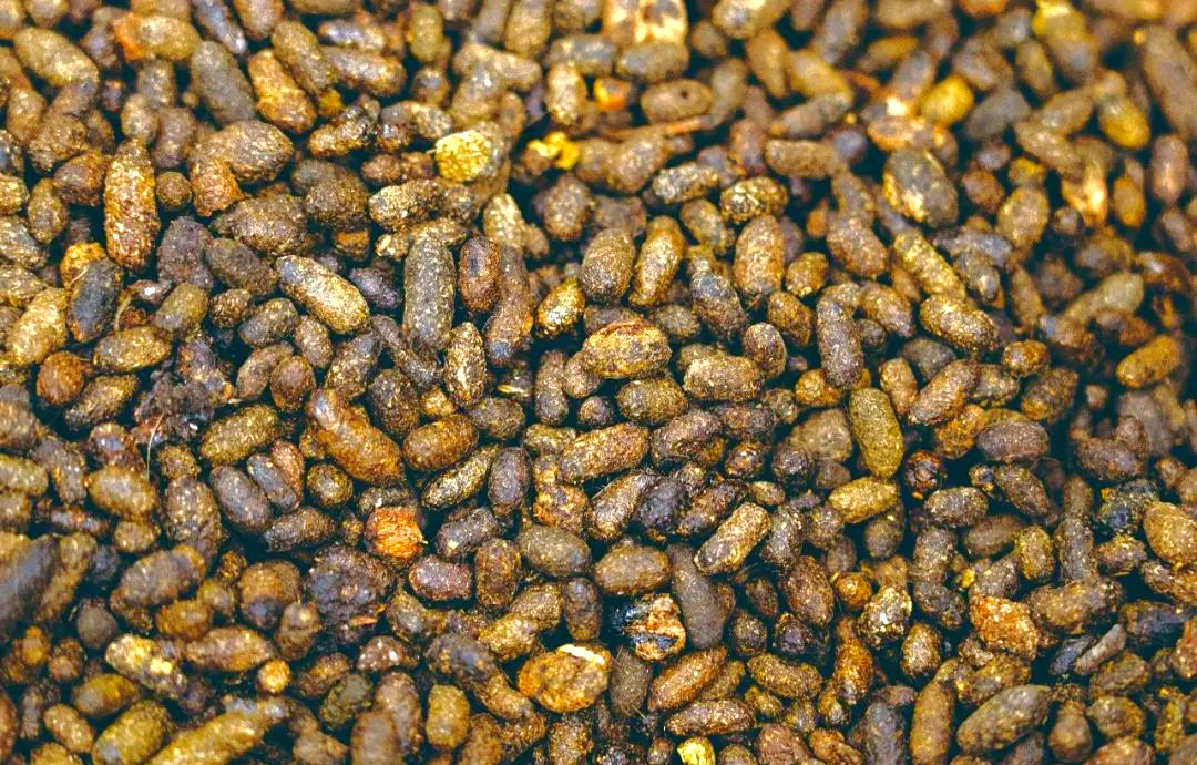 探索动物粪便的奥秘