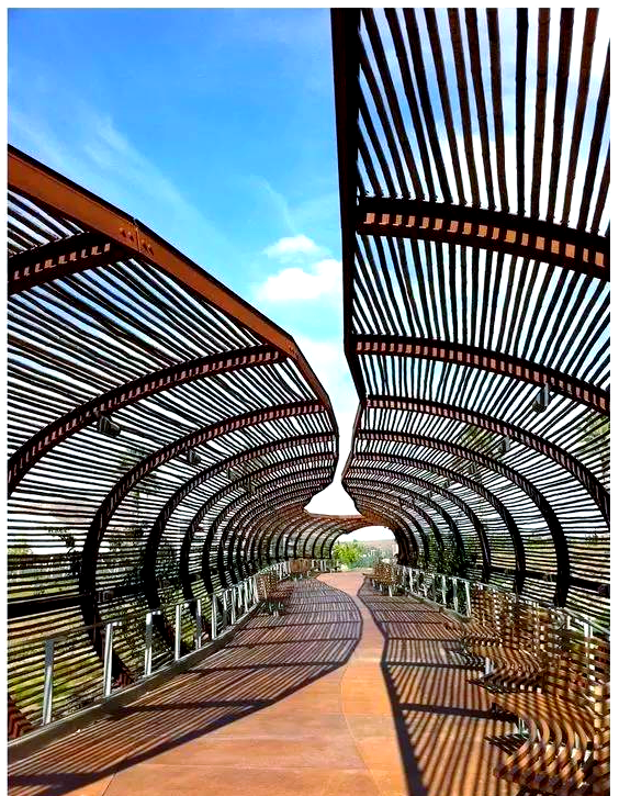 探索疯狂的桥梁:创意与设计让桥不再乏味