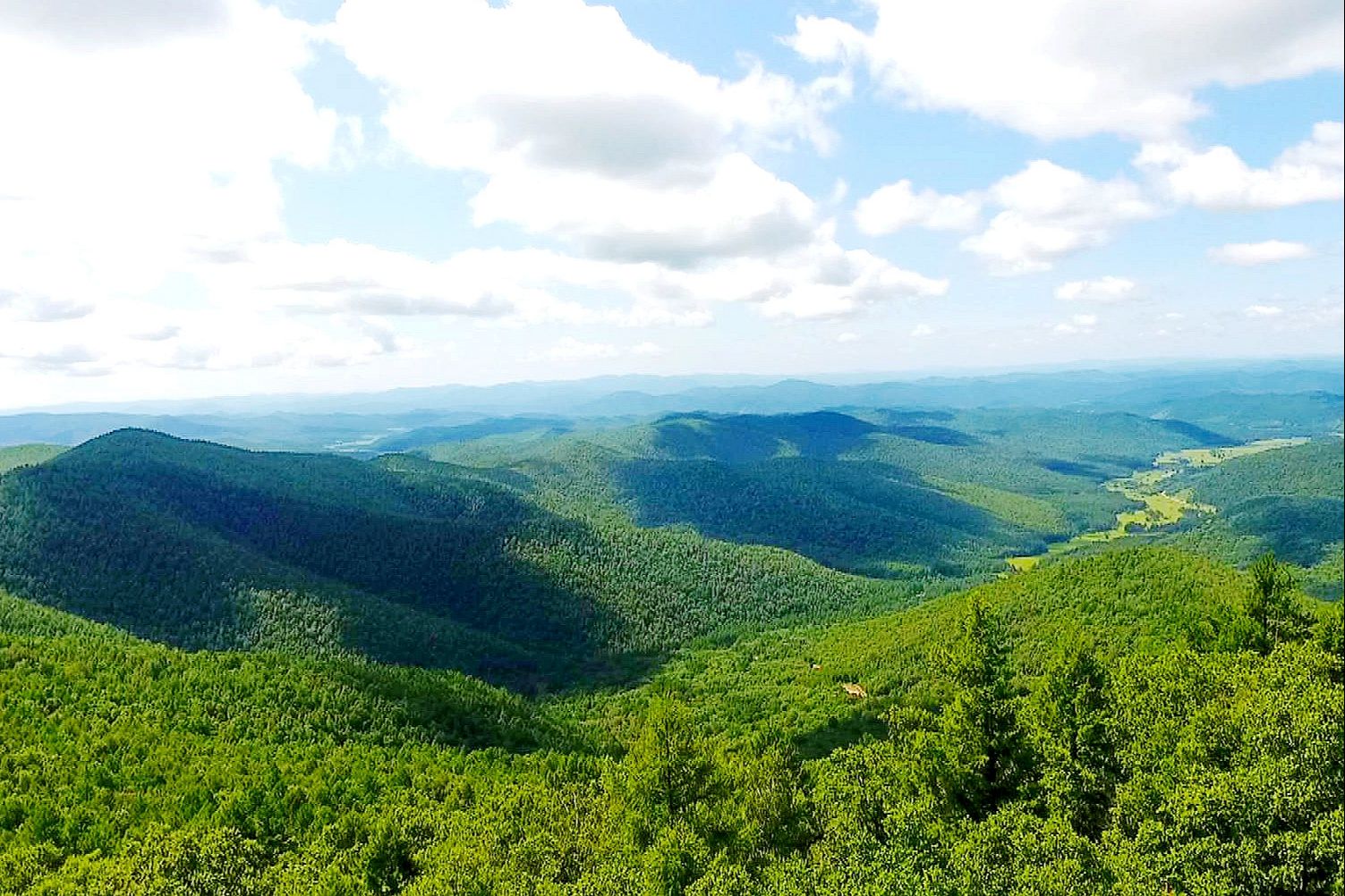 阿荣旗:打造高质量发展"新引擎"