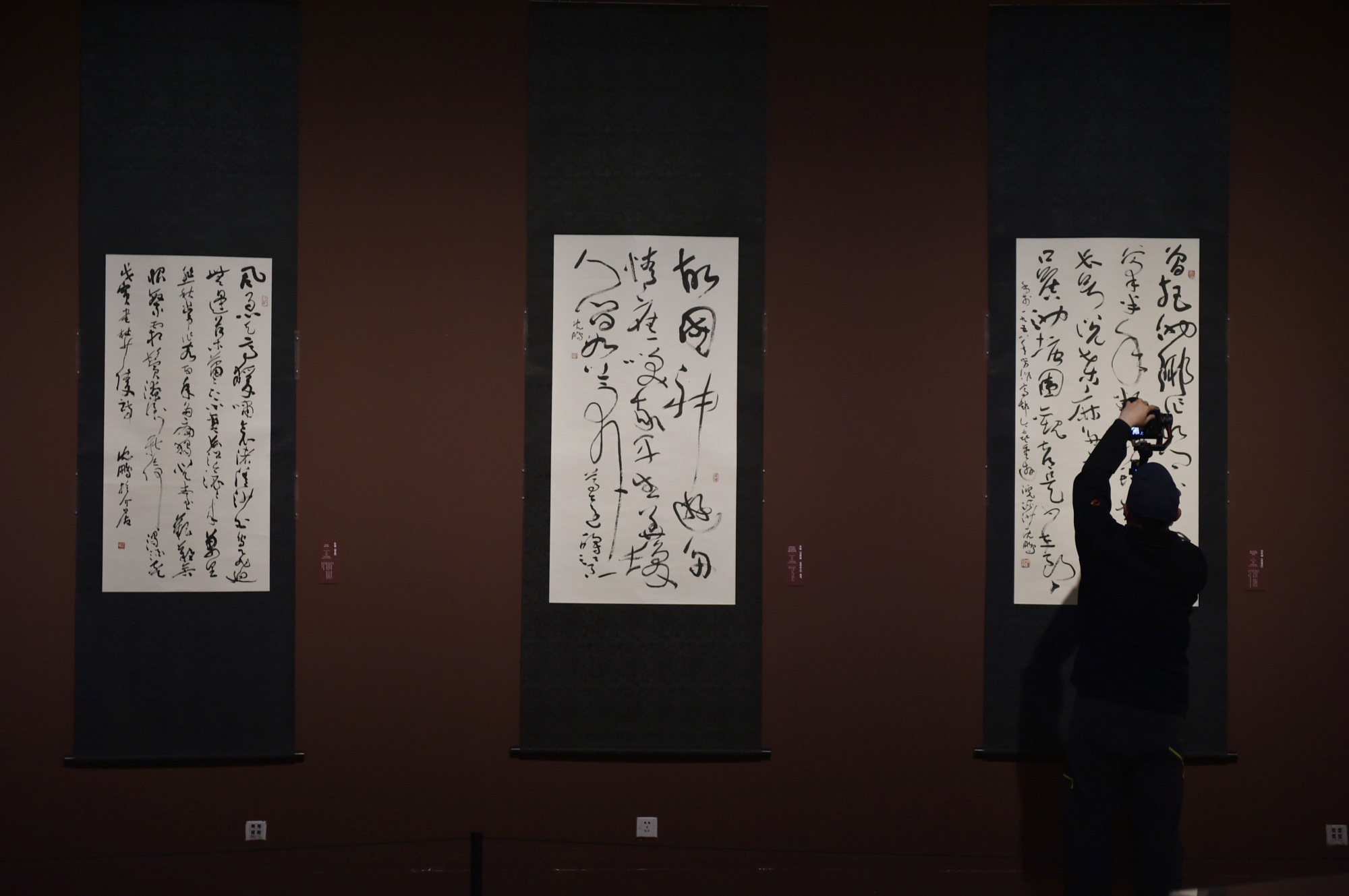 —沈鹏诗书作品展"在京开幕