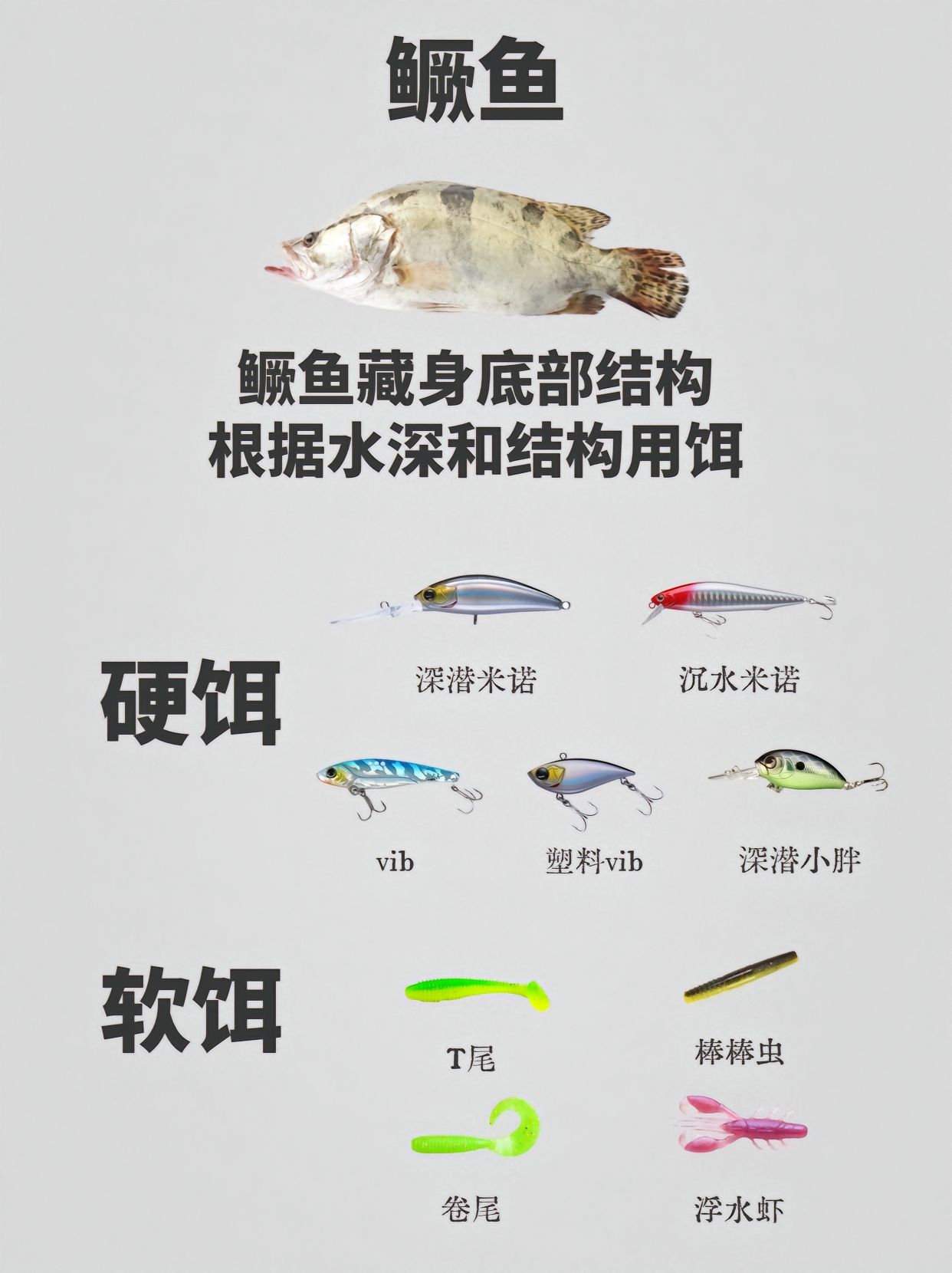 常见路亚淡水目标鱼的习性及假饵推荐!路亚新手必修课!