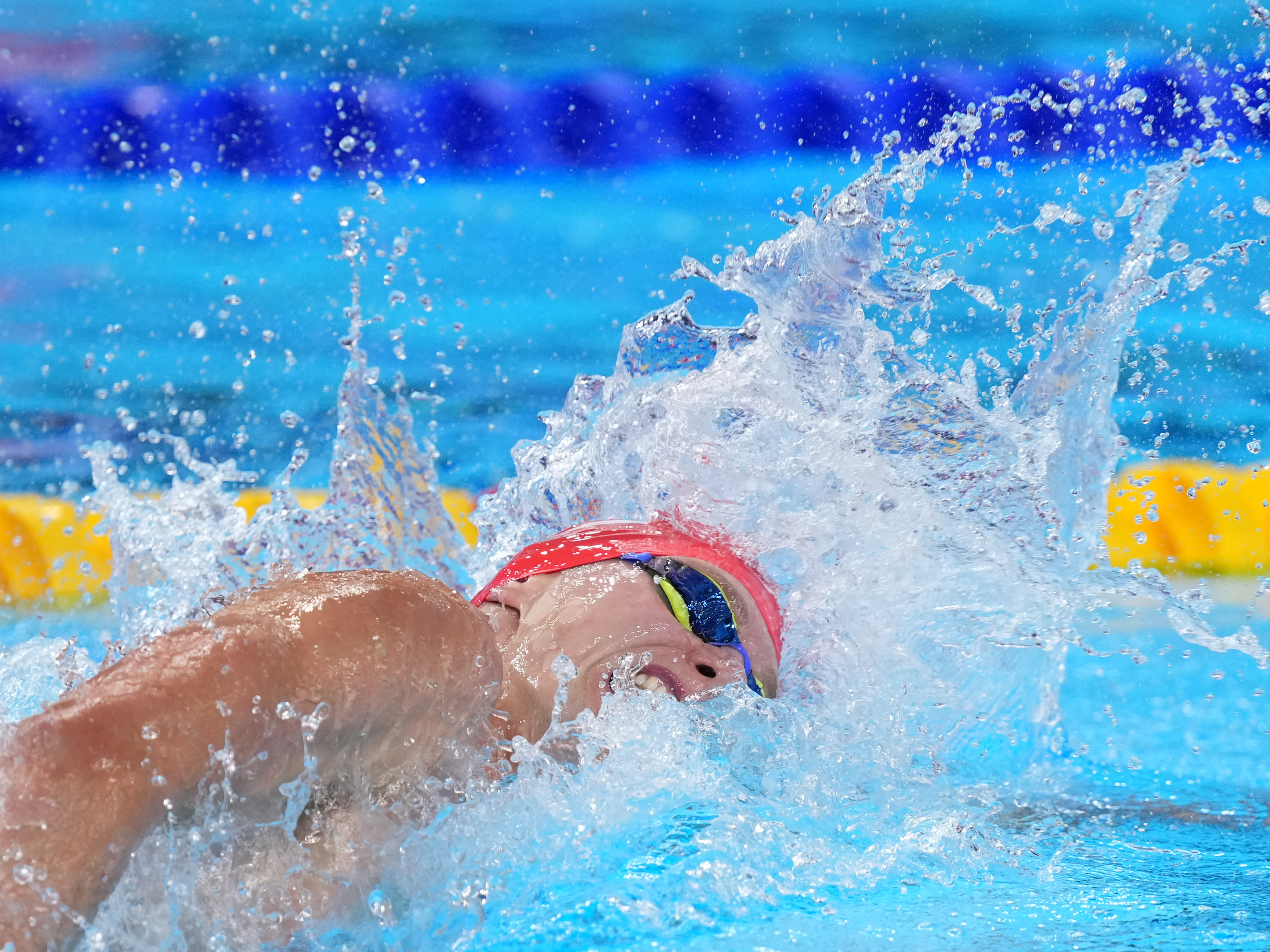 (游泳世锦赛)游泳