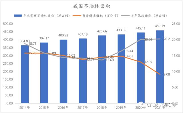 茶油树（茶油树寄生药用功效与作用） 第6张