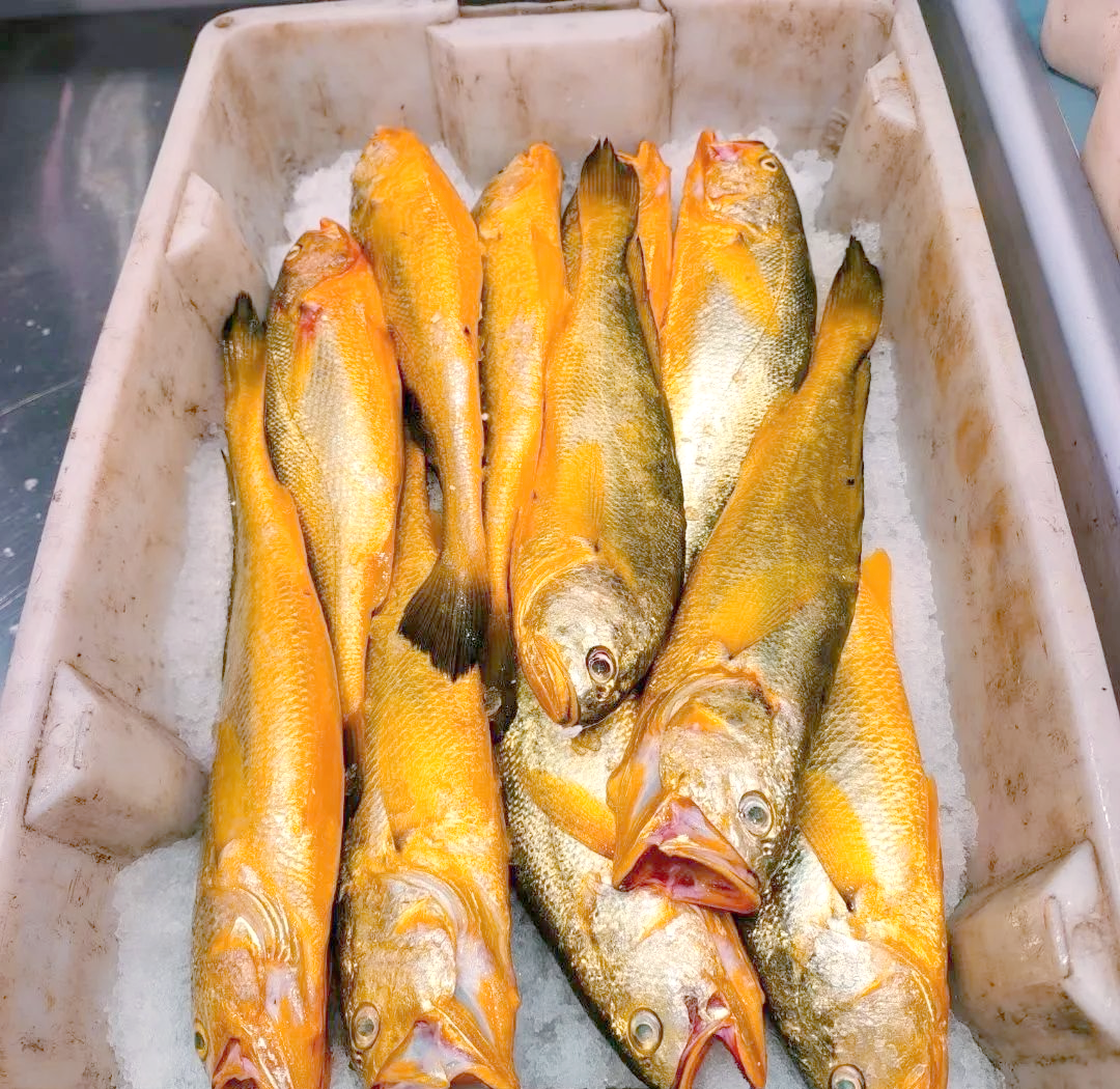 舟山野生小黄鱼:品味鲜香江湖,感受春日海鲜盛宴!