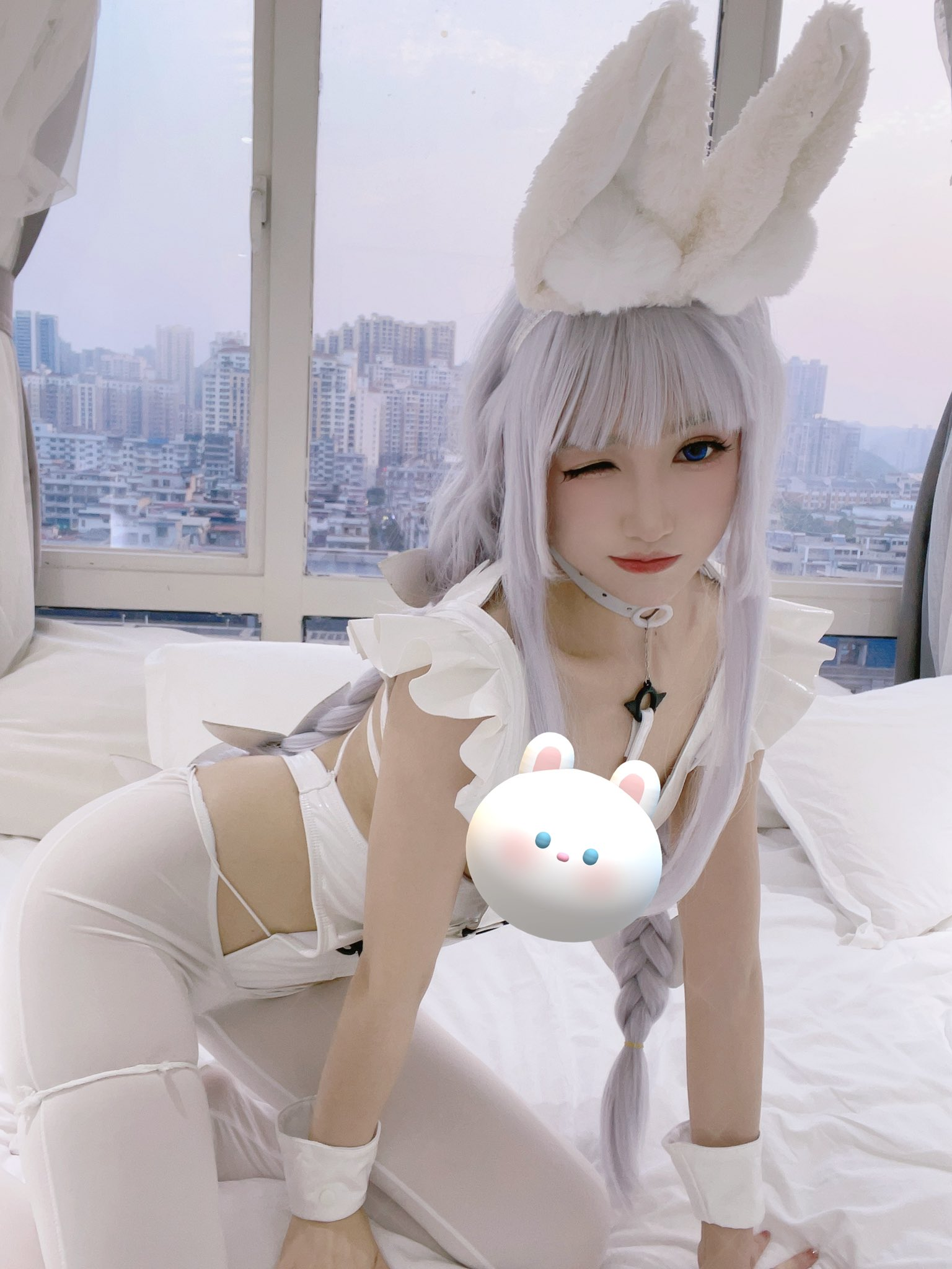 今天是任人摆布的兔宝宝