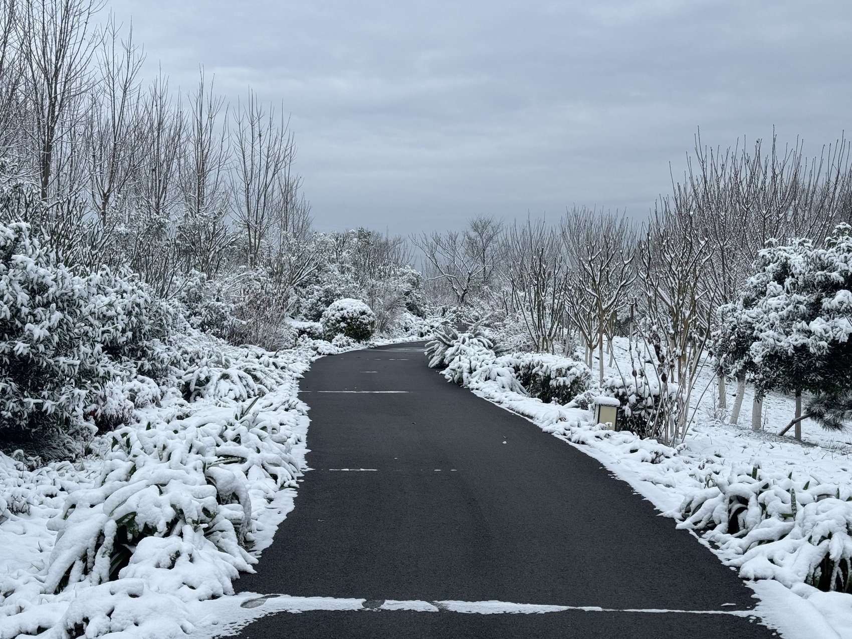 成都下雪照片图片