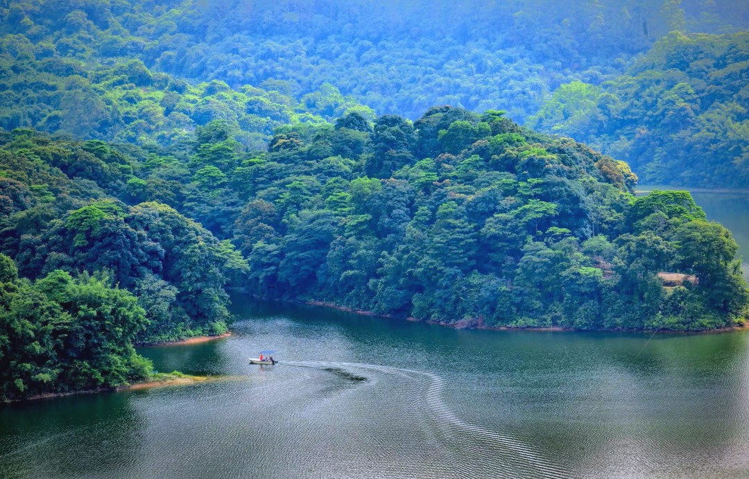 帽峰山获升国家4a级旅游景区,自然风光与多彩文旅引期待