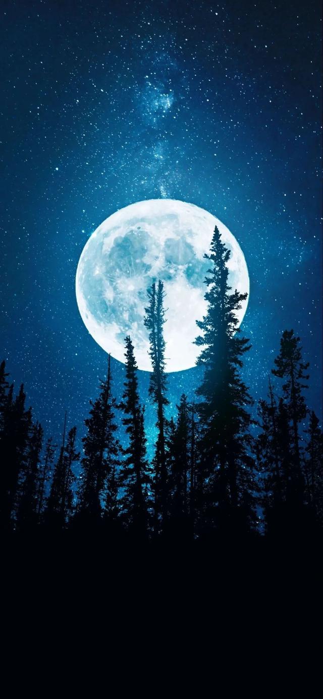 超高清手机壁纸美图