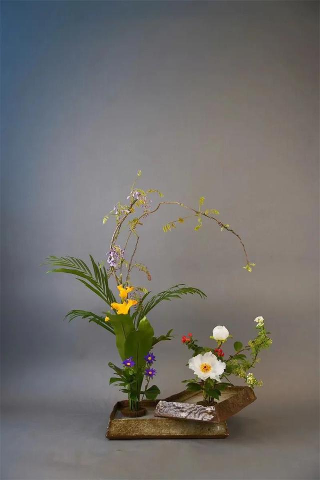 谷雨时节,40个牡丹芍药插花作品,让你尽赏最美春色