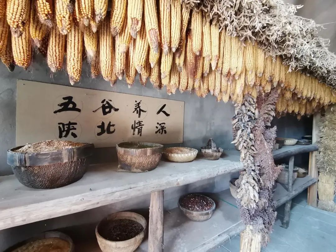 佳县坑镇赤牛坬村:15余万"老物件儿"诉说时代变迁