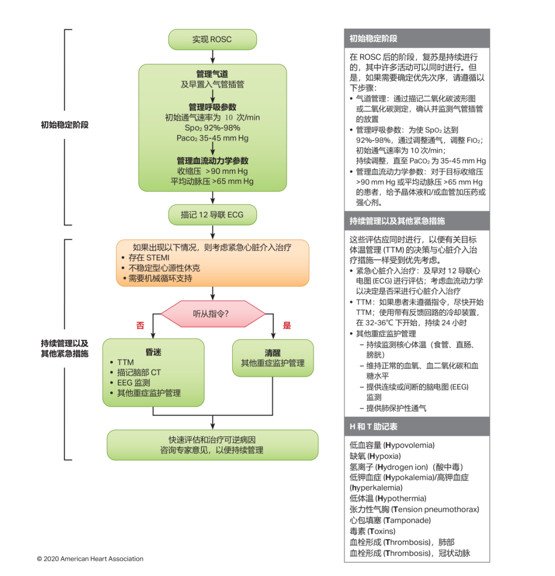 心肺复苏流程图英文版图片