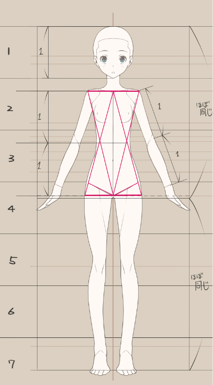 人体结构真的很难吗?绘画萌新一定要搞懂的人体画法!