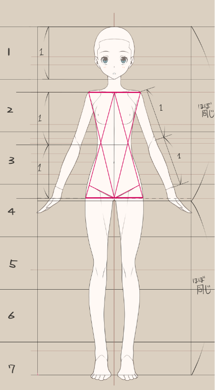 人体结构真的很难吗?绘画萌新一定要搞懂的人体画法