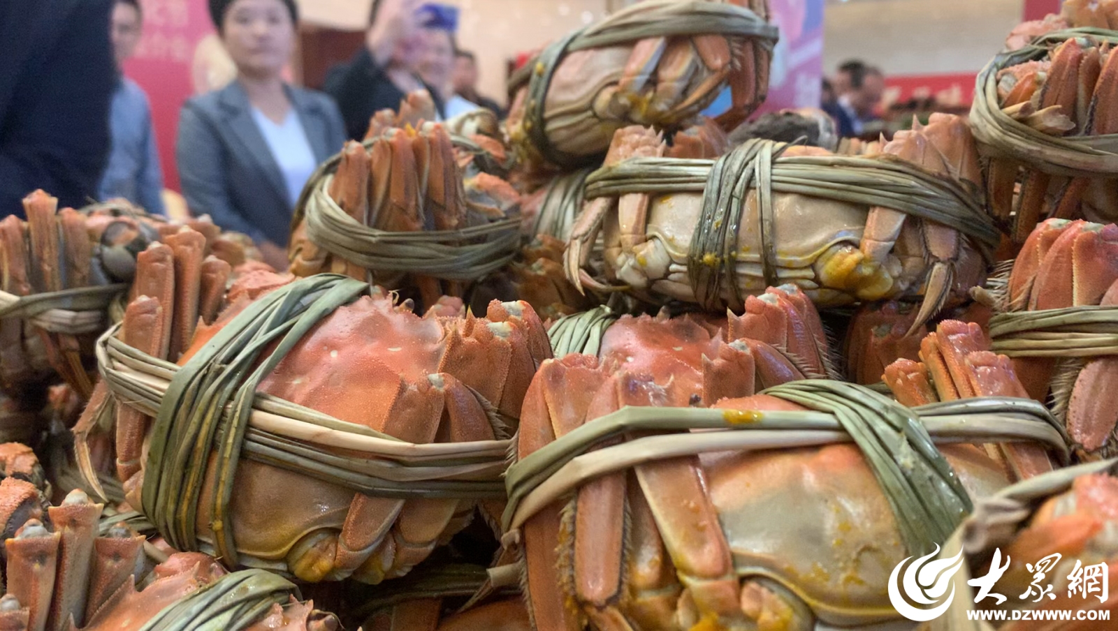 微山湖螃蟹批发市场在哪里