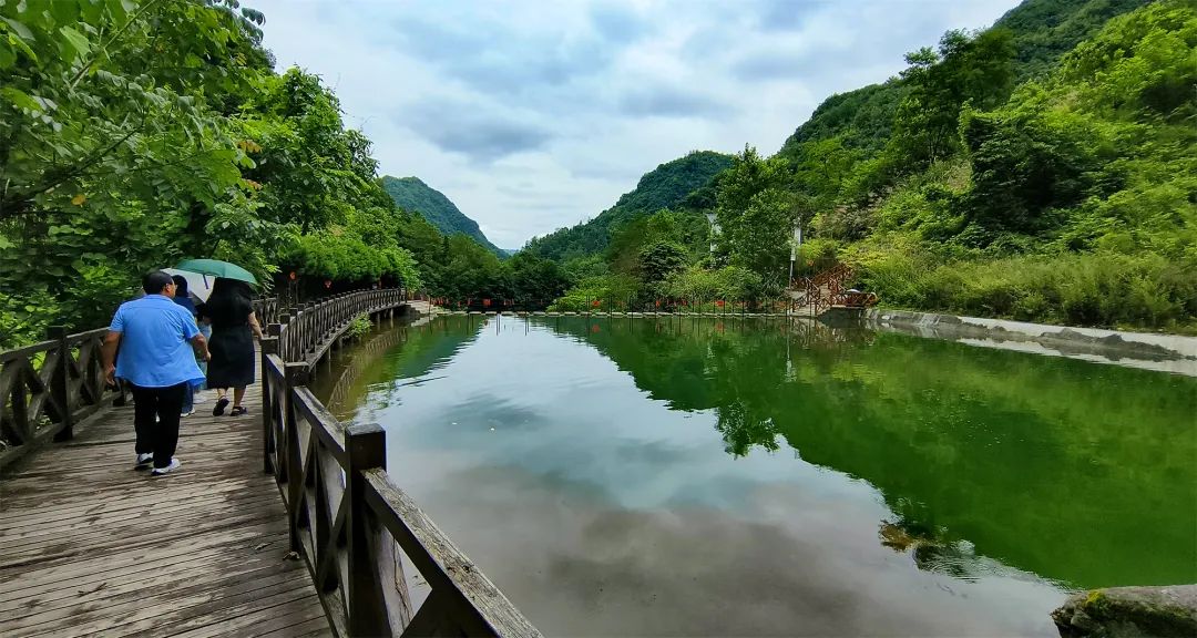 安康平利芍药谷景区图片