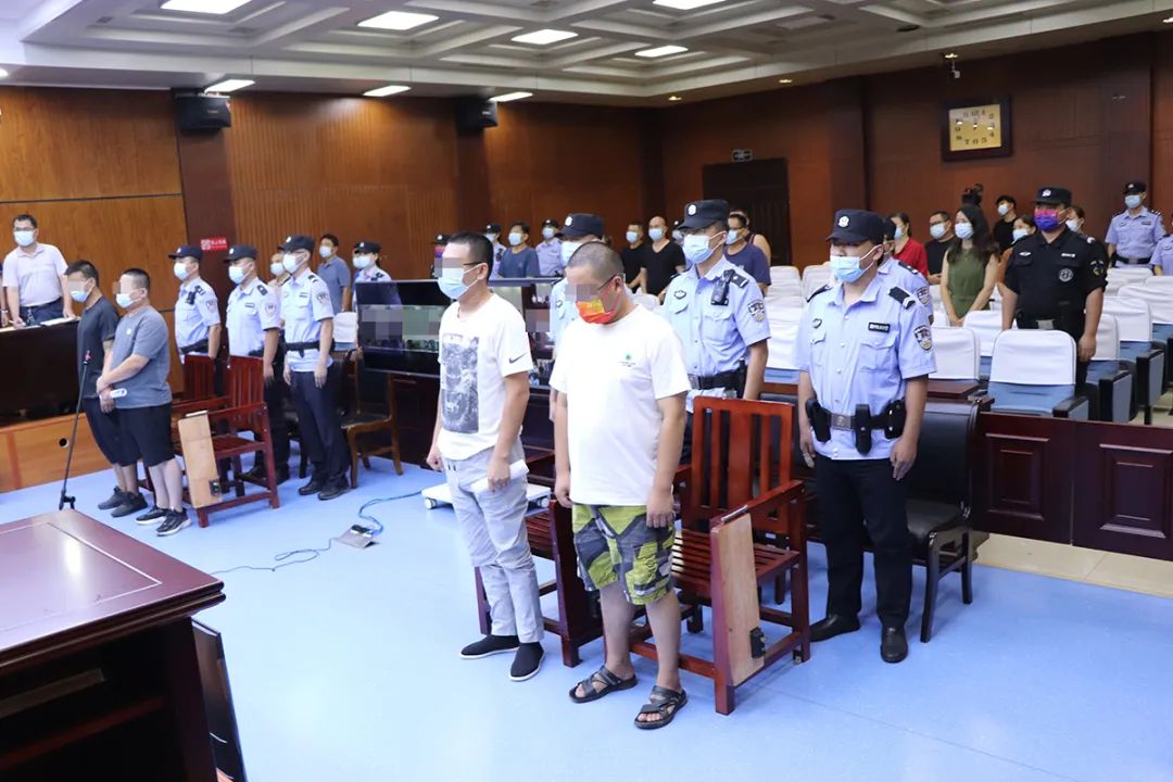 利津法院对刘海波等16人恶势力组织案作出一审宣判