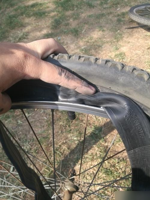 自行车轮胎的价位因型号和品牌的不同而有所差异.