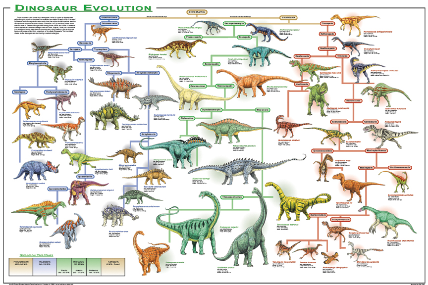 恐龙演变过程简笔画图片