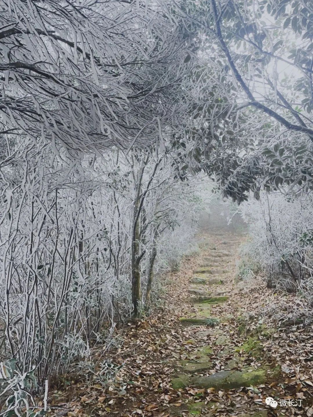 嘶哈福建敢下雪了速來