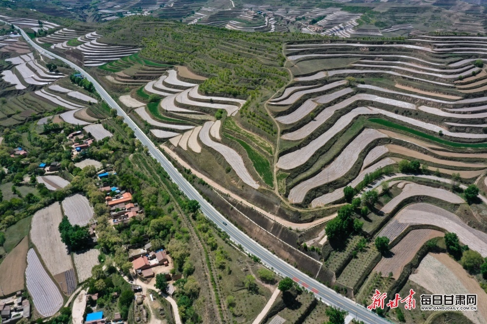 會寧縣:植樹增綠山川美 生態美景入畫來