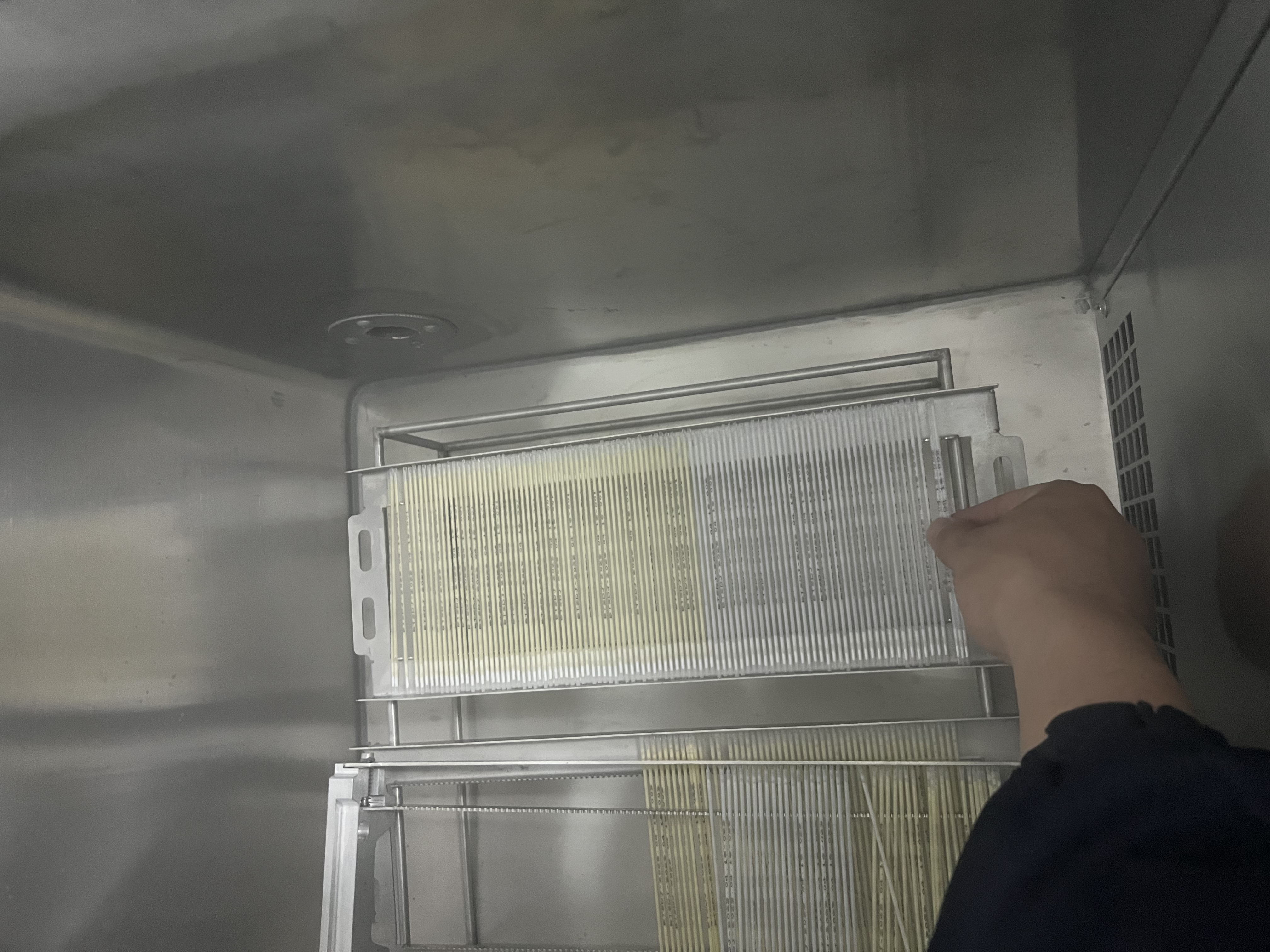 牛冻精技术改良品种现状