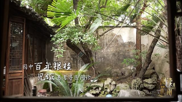 古树生生|仁心"仁树"