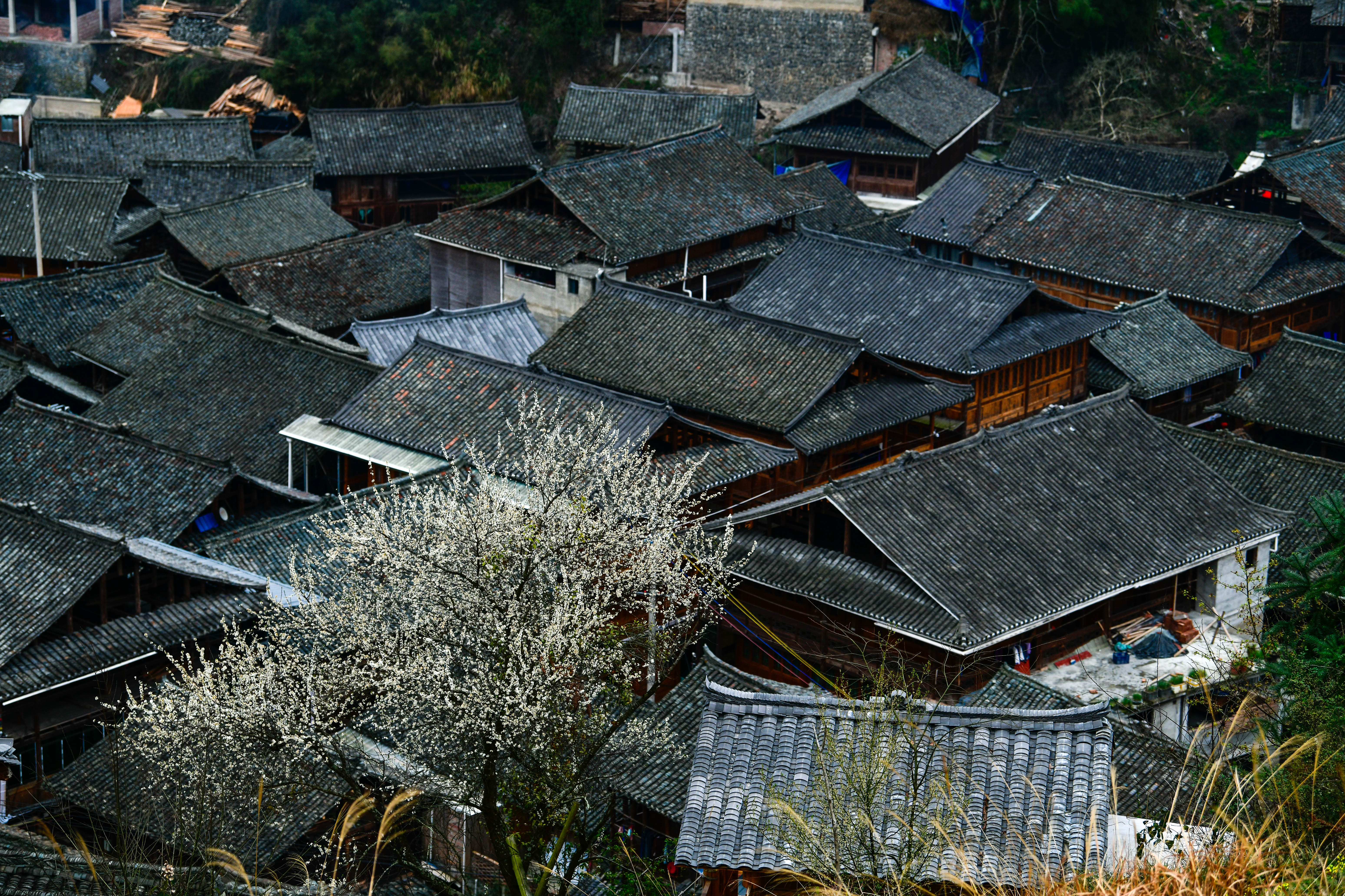 贵州榕江:传统村落激活乡村振兴新动能