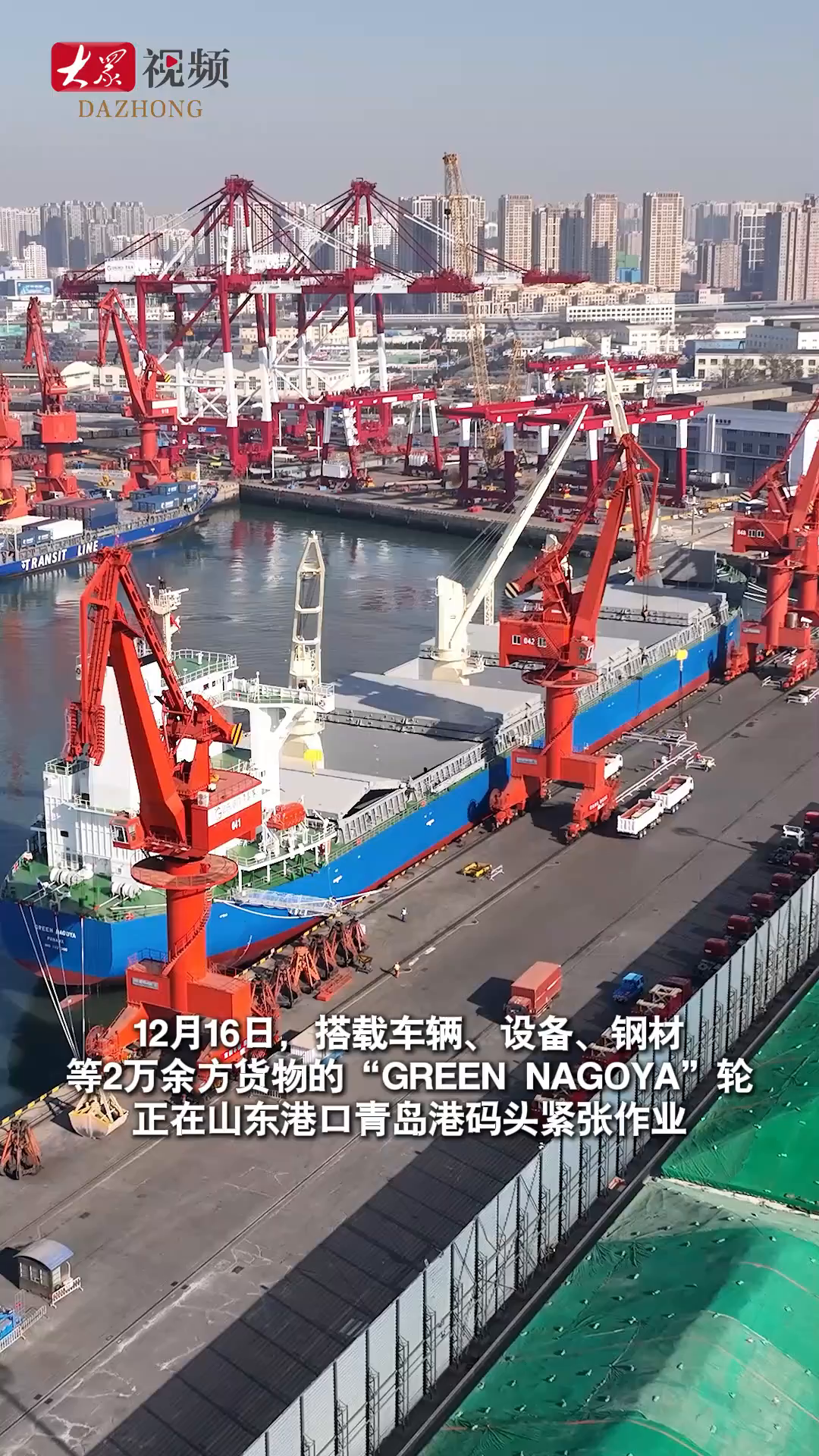 走进港口看发展丨东北最大集装箱码头 外贸航线越织越密